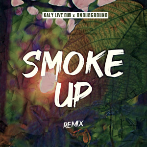 Listen to Smoke Up (Ondubground Remix) song with lyrics from Kaly Live Dub