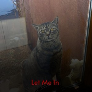 Listen to C`Est Si Bon song with lyrics from Eartha Kitt