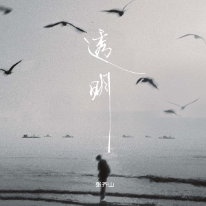 Album 透明 from 张齐山DanieL
