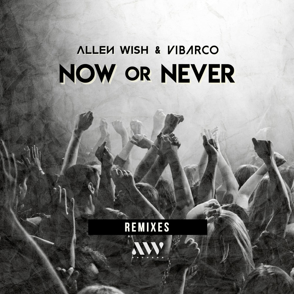 Now or Never (Tom Staar Radio Edit Remix)