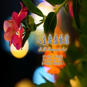 Listen to 富贵五更春梦, 功名一片浮云 song with lyrics from 薛菁丽