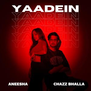 Album Yaadein (Acoustic) from Aneesha