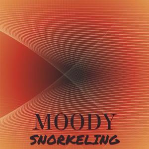 Album Moody Snorkeling from Various Artists