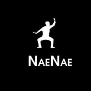 Don Staxks的專輯Nae Nae (feat. Gdxtti, 30 & 90) [Explicit]