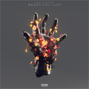 Album Beautiful Life from Makj