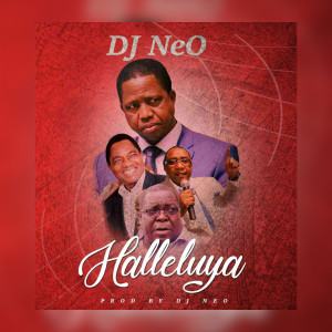 收聽DJ NEO的Halleluya歌詞歌曲