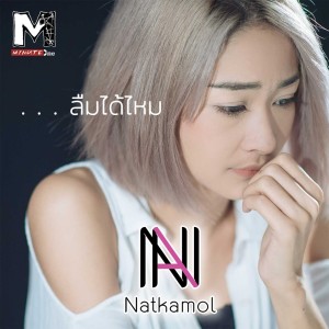 ดาวน์โหลดและฟังเพลง ลืมได้ไหม พร้อมเนื้อเพลงจาก แนน ณัชกมล