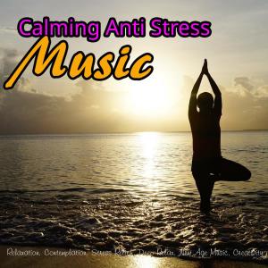 Album Calming Anti Stress Music: Relaxation, Contemplation, Stress Relief, Deep Relax, New Age Music, Creativity from Stress Relief Therapy Music Academy