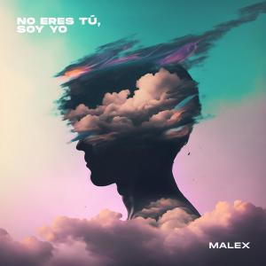 ดาวน์โหลดและฟังเพลง No Eres Tu, Soy Yo พร้อมเนื้อเพลงจาก Malex