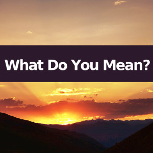 What Do You Mean? (Instrumental Versions) dari What Do You Mean