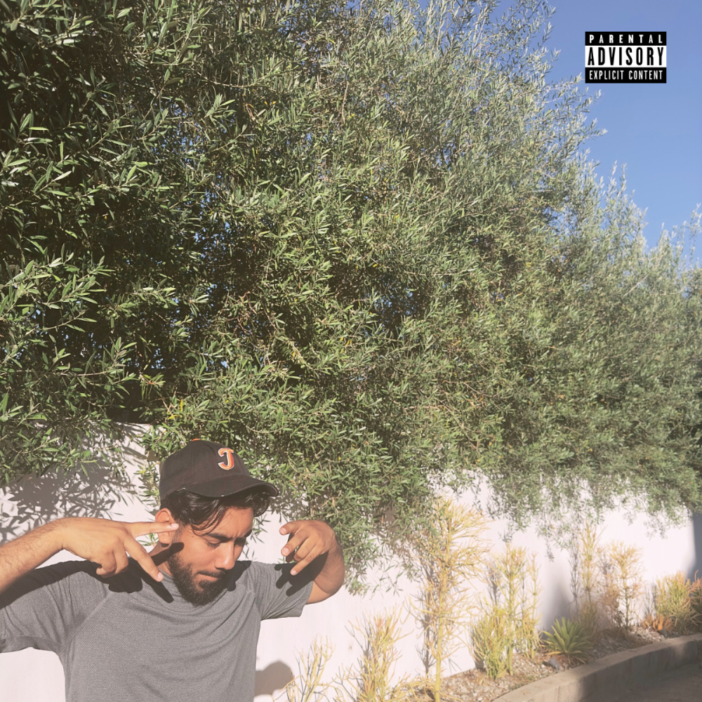 Rings (Explicit)