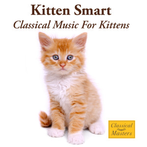 ดาวน์โหลดและฟังเพลง Mozart: Violin Concerto No. 3 in G, K. 216 - Allegro พร้อมเนื้อเพลงจาก St. Martin's Orchestra