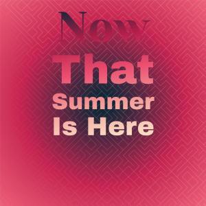 Album Now That Summer Is Here oleh Silvia Natiello-Spiller