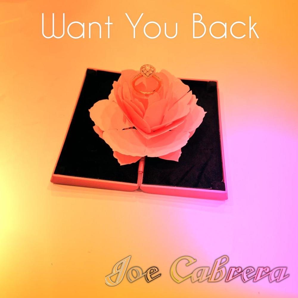 Want You Back