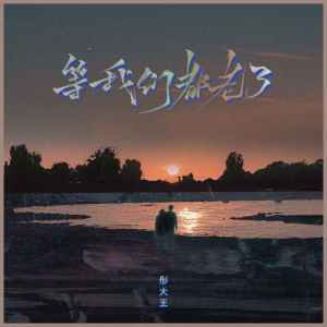 Listen to 等我们都老了 song with lyrics from 彤大王
