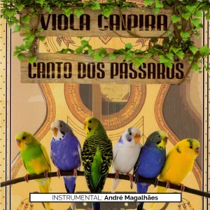 André Magalhães的專輯Viola Caipira e Canto de Passaros