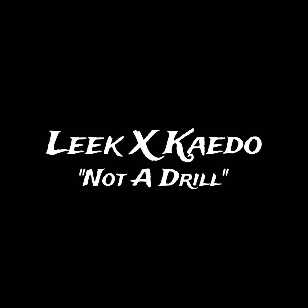 Not A Drill (feat. Leek D) (Explicit)