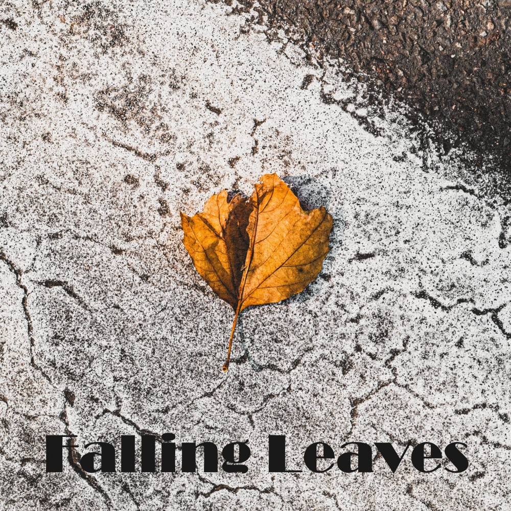 Falling Leaves