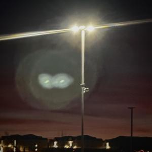 收聽Scott Swayy的December Nights (Explicit)歌詞歌曲