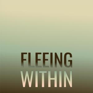 Listen to Finkelstein Seitz song with lyrics from Tere Barbz