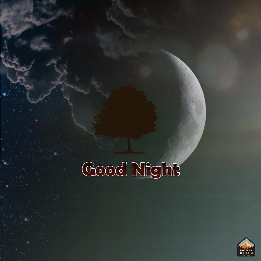 Good Night