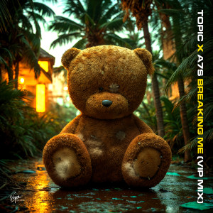 Topic的專輯Breaking Me (VIP Mix)