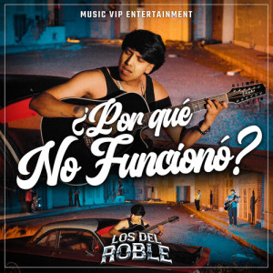 Listen to ¿Por Qué No Funcionó? song with lyrics from Los del roble