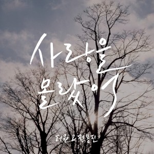 ดาวน์โหลดและฟังเพลง 사랑을 몰랐어 พร้อมเนื้อเพลงจาก The One