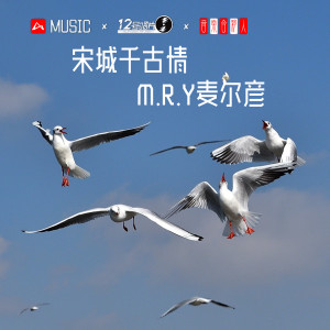 Listen to 宋城千古情（DJ版） (其他) song with lyrics from M.R.Y麦尔彦