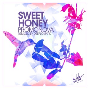 ดาวน์โหลดและฟังเพลง Sweet Honey (Deeplomatik Remix) พร้อมเนื้อเพลงจาก Promonova