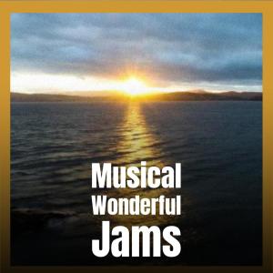 Album Musical Wonderful Jams from Various