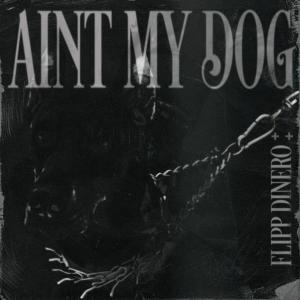 อัลบัม Ain't My Dog ศิลปิน Flipp Dinero