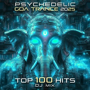 อัลบัม Psychedelic Goa Trance 2025 Top 100 Hits + DJ Mix ศิลปิน Psytrance