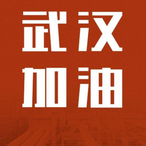 Listen to 武汉加油 song with lyrics from 精彩辰浩