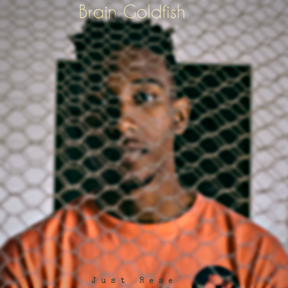 Brain Goldfish (Explicit)