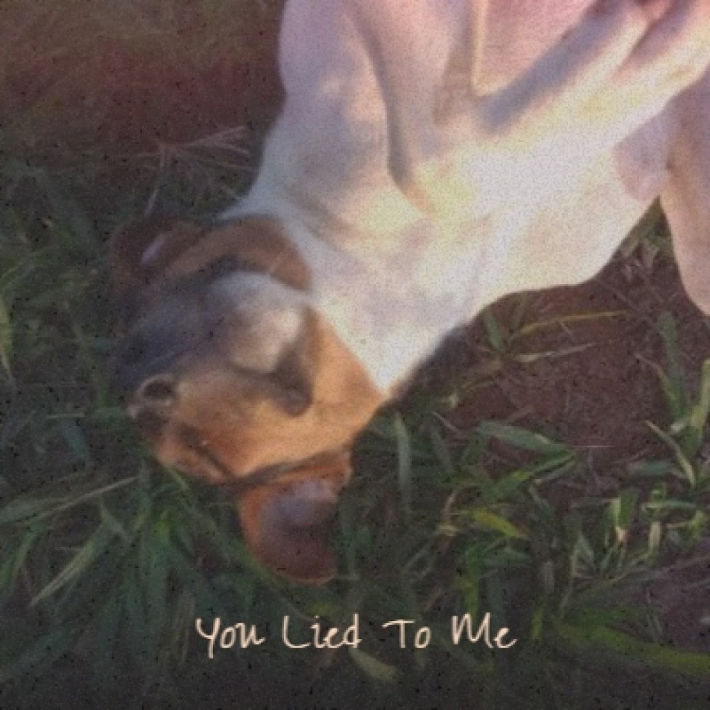 You Lied to Me