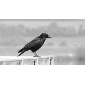 Dengarkan 신월동 Accustic Mix Version (Accustic Mix) lagu dari Tickhey dengan lirik