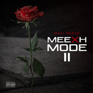 Listen to Gang Shit (Explicit) song with lyrics from Mali Meexh