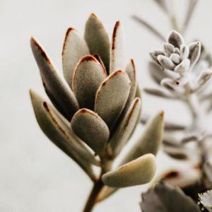 收听Relaxing Music Therapy的We Are the One歌词歌曲