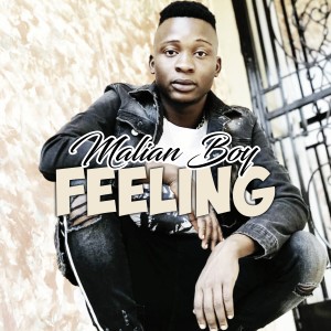 ดาวน์โหลดและฟังเพลง Feeling พร้อมเนื้อเพลงจาก Malian Boy