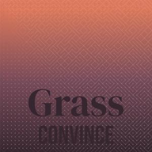 Listen to Infringing Untied song with lyrics from Roke Imey