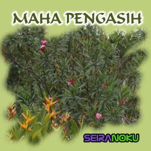 Album Maha Pengasih from Seiranoku