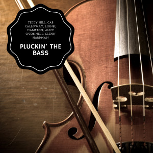 Album Pluckin' The Bass oleh Teddy Hill