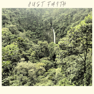 Alum的专辑Just Faith