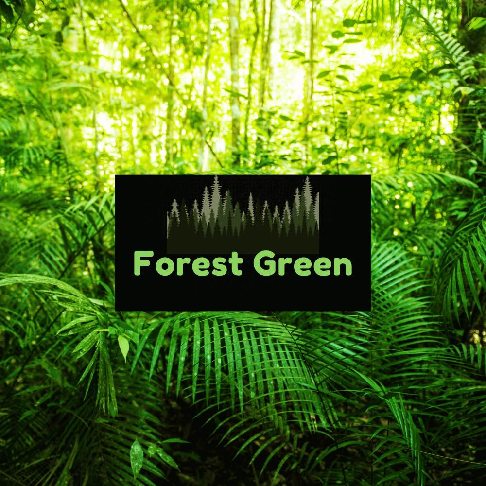 Enchanted Forest