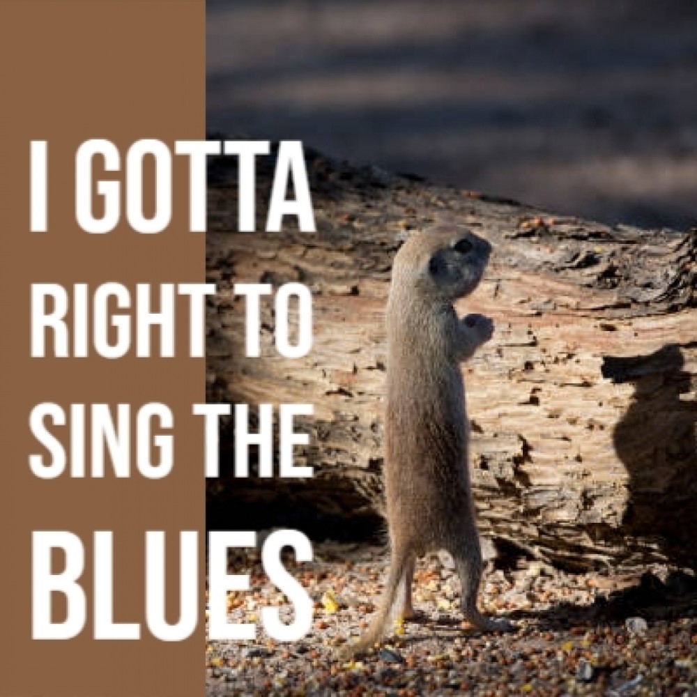 King of Dixieland