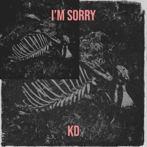 Album I’m Sorry (Explicit) from KD