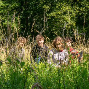 Album Summer Nights from Apricity