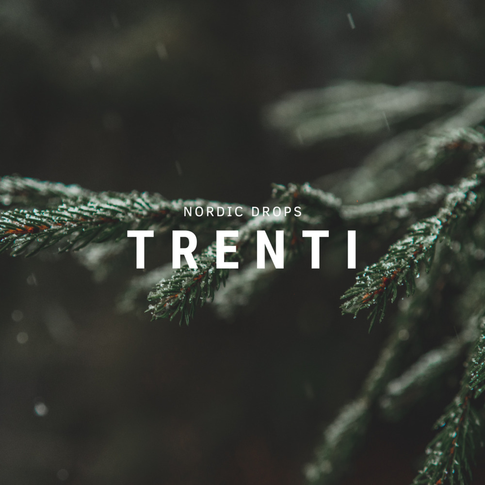 Deep Forest Rain