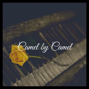 收聽Piano Vampire的Camel by Camel (Zone Ankha) (Extended Instrumental Version)歌詞歌曲